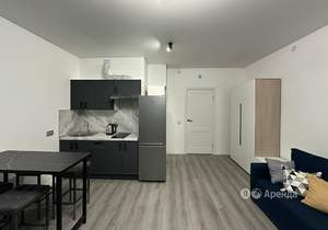 Студия квартира, на длительный срок, 25м2, 8/15 этаж