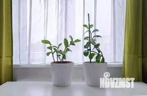 2-к квартира, посуточно, 48м2, 1/1 этаж