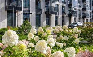 3-к квартира, на длительный срок, 84м2, 5/8 этаж