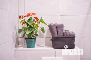 Студия квартира, посуточно, 25м2, 5/6 этаж
