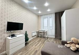 Студия квартира, на длительный срок, 24м2, 7/24 этаж