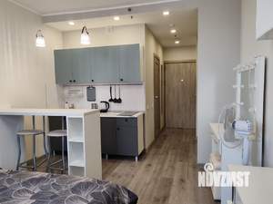Студия квартира, на длительный срок, 24м2, 8/21 этаж