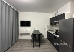 Студия квартира, на длительный срок, 25м2, 8/15 этаж