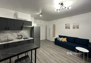 Студия квартира, на длительный срок, 25м2, 8/15 этаж