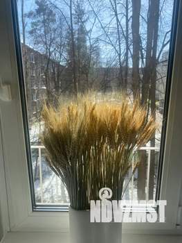 1-к квартира, посуточно, 31м2, 3/5 этаж
