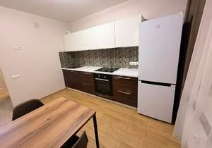 1-к квартира, на длительный срок, 39м2, 1/17 этаж