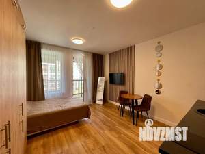 Студия квартира, посуточно, 24м2, 5/10 этаж