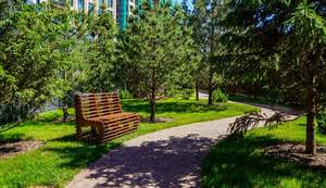 1-к квартира, на длительный срок, 60м2, 6/11 этаж