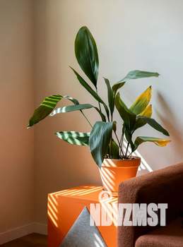 1-к квартира, посуточно, 47м2, 5/5 этаж