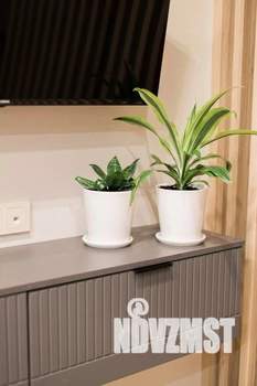 3-к квартира, посуточно, 146м2, 1/1 этаж