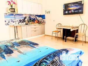 Студия квартира, посуточно, 28м2, 7/8 этаж