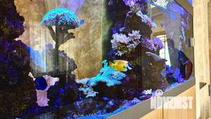 4-к квартира, на длительный срок, 135м2, 4/5 этаж