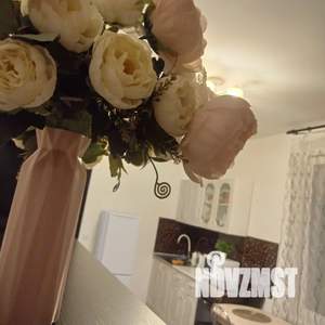 Студия квартира, посуточно, 26м2, 8/12 этаж
