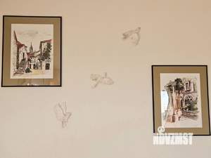 1-к квартира, посуточно, 33м2, 11/22 этаж