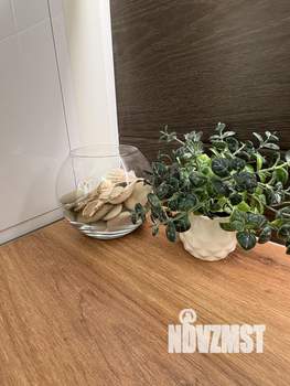 Студия квартира, на длительный срок, 25м2, 6/13 этаж