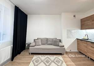 Студия квартира, на длительный срок, 21м2, 2/11 этаж