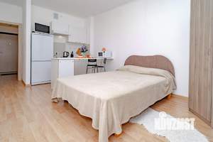 Студия квартира, на длительный срок, 24м2, 13/13 этаж