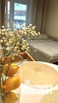 Студия квартира, посуточно, 21м2, 9/13 этаж