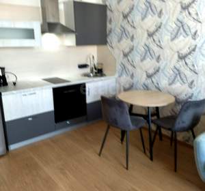 Студия квартира, на длительный срок, 25м2, 25/25 этаж