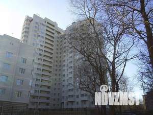 1-к квартира, на длительный срок, 50м2, 3/16 этаж