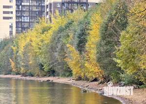 2-к квартира, вторичка, 56м2, 23/25 этаж