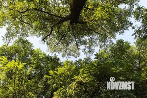 1-к квартира, вторичка, 31м2, 5/16 этаж