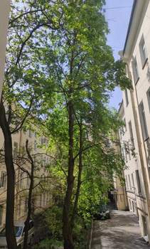 2-к квартира, вторичка, 50м2, 2/5 этаж