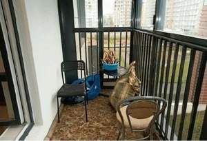 Студия квартира, вторичка, 24м2, 3/24 этаж