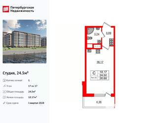 Студия квартира, вторичка, 25м2, 17/17 этаж